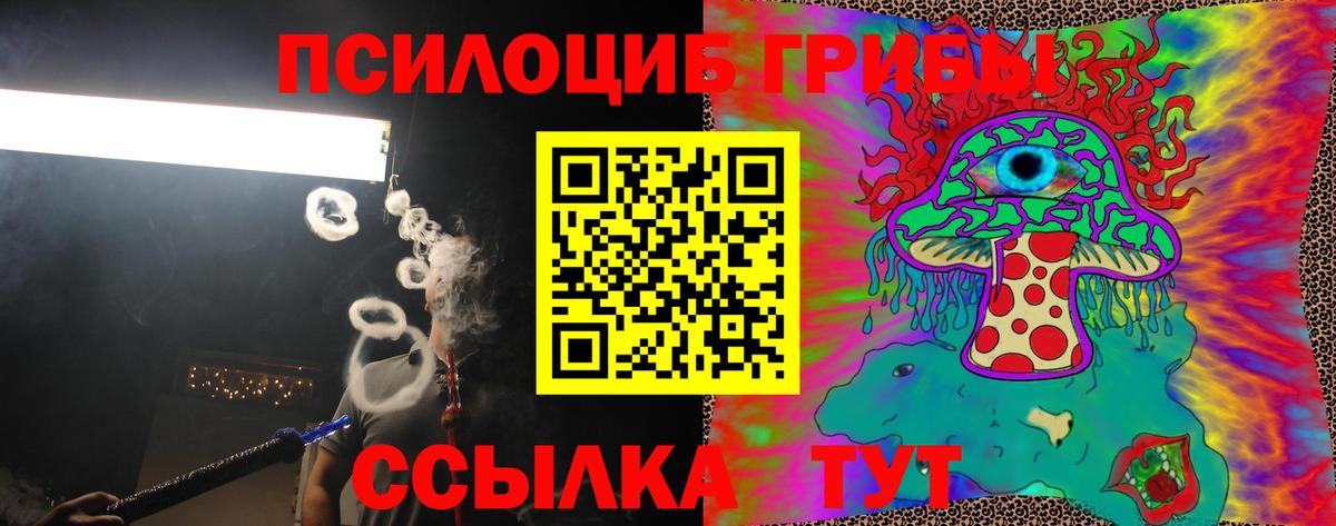 Ейск  наркошоп  Псилоцибиновые грибы Psilocybine cubensis  Вход с VPN  Галлюциногенные грибы Cubensis 
