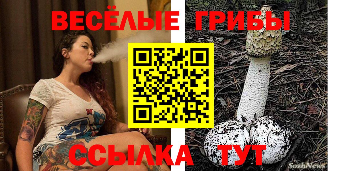 Галлюциногенные грибы Psilocybine cubensis Ейск
